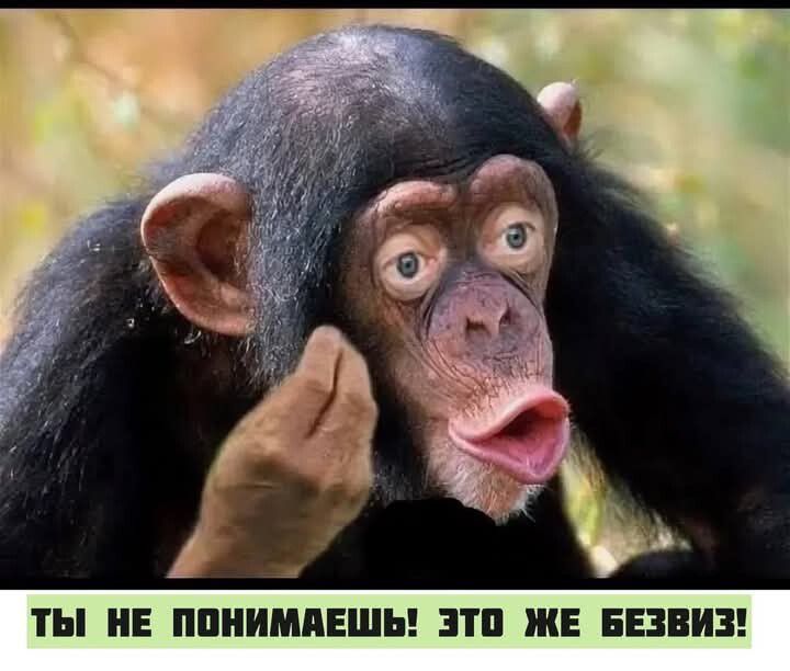 ТЫ НЕ ПОНИМАЕШЬ ЭТО ЖЕ БЕЗВИЗ