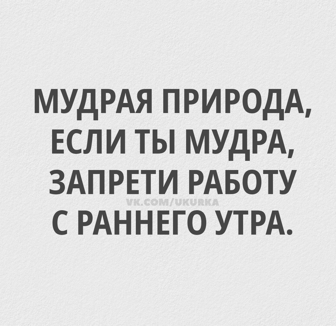 МУДРАЯ ПРИРОДА ЕСЛИ ТЫ МУДРА ЗАПРЕТИ РАБОТУ СРАННЕГО УТРА