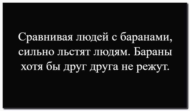 Сравнивая людей с баранами, сильно льстят людям. Бараны хотя бы друг друга не режут.
