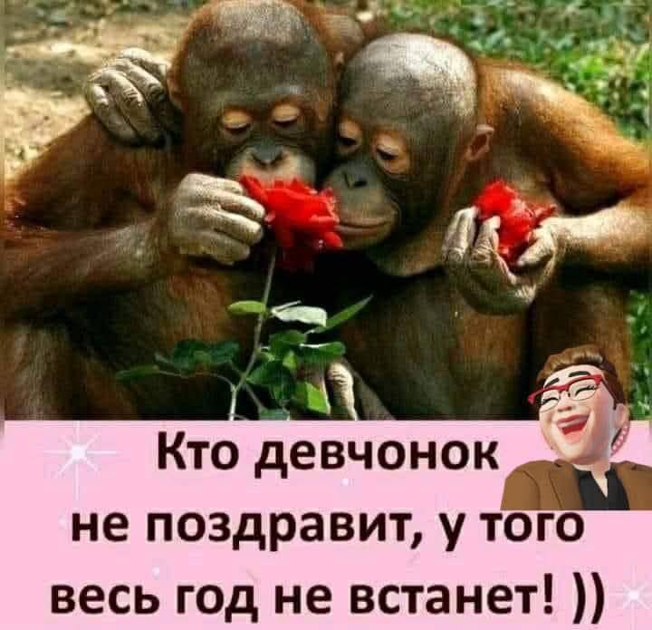 Кто девчонок не поздравит, у того весь год не встанет! ))