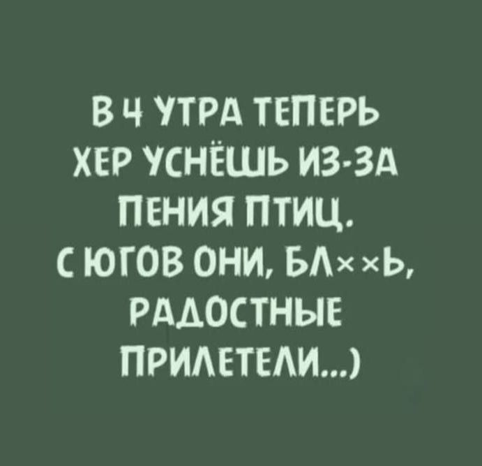 В 4 утра теперь хер уснёшь из-за пения птиц. С югов они, бл××ь, радостные прилетели…:)