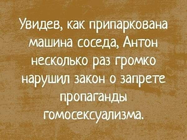 Увидев, как припаркована машина соседа, Антон несколько раз громко нарушил закон о запрете пропаганды гомосексуализма.