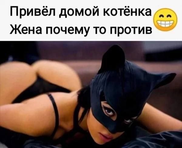 Привёл домой котёнка
Жена почему то против
😀