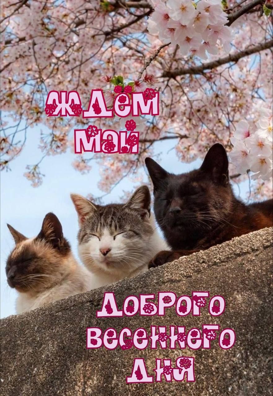 Ждём май. Доброго весеннего дня.