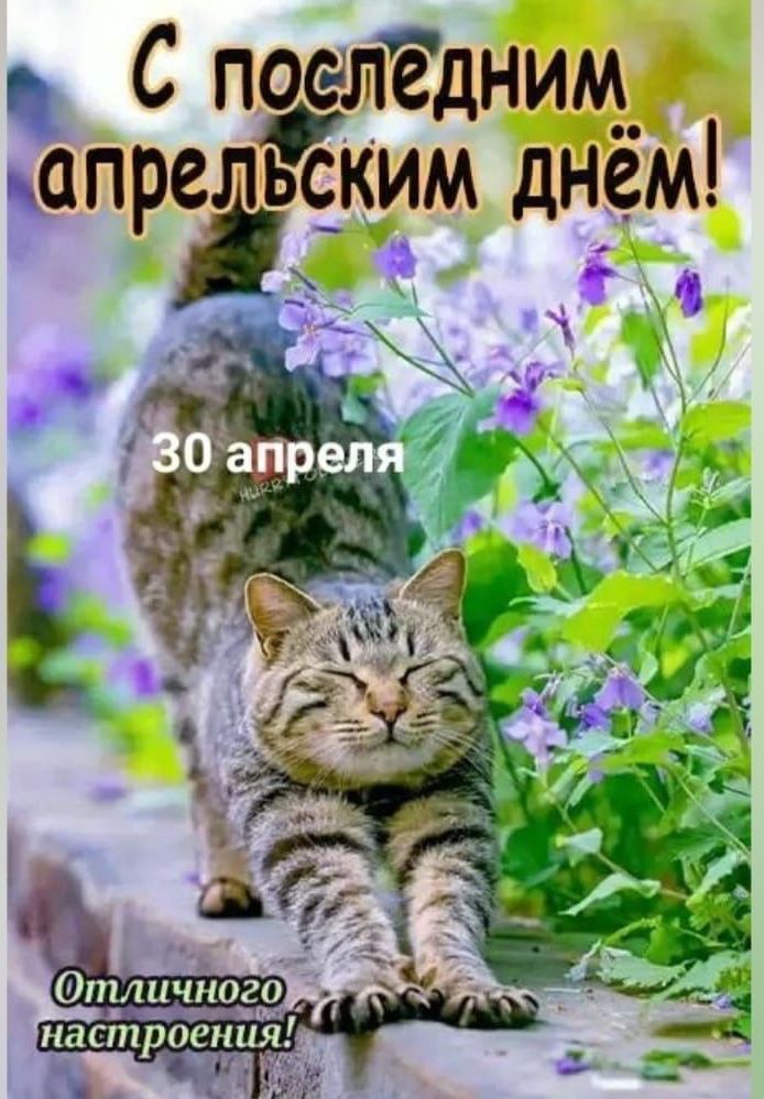 С последним апрельским днём!
30 апреля
Отличного настроения!