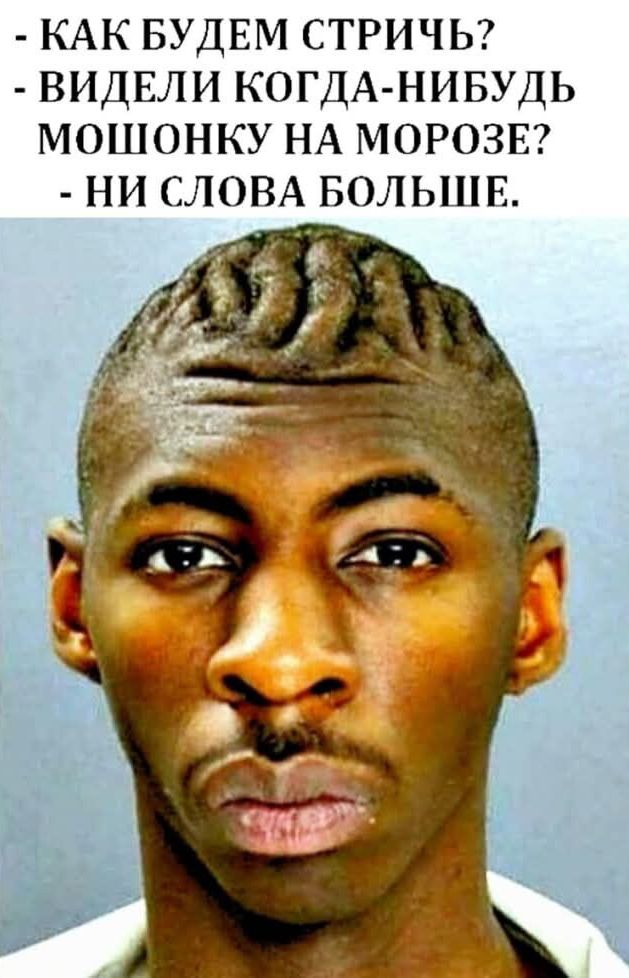 Как будем стричь? - Видели когда-нибудь мошонку на морозе? - Ни слова больше.