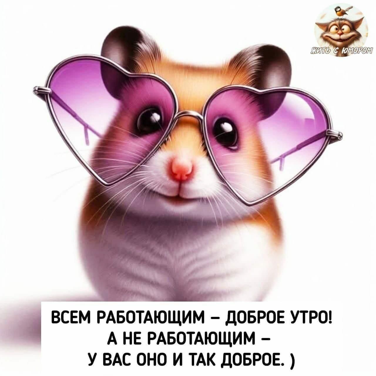 ВСЕМ РАБОТАЮЩИМ – ДОБРОЕ УТРО! А НЕ РАБОТАЮЩИМ – У ВАС ОНО И ТАК ДОБРОЕ. )