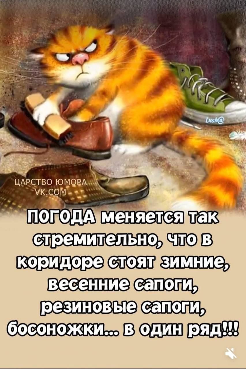 ПОГОДА меняется так стремительно, что в коридоре стоят зимние, весенние сапоги, резиновые сапоги, босоножки… в один ряд!!!