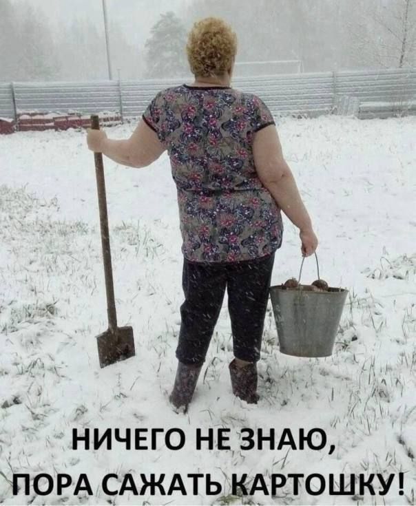 НИЧЕГО НЕ ЗНАЮ, ПОРа САЖАТЬ КАРТОШКУ!