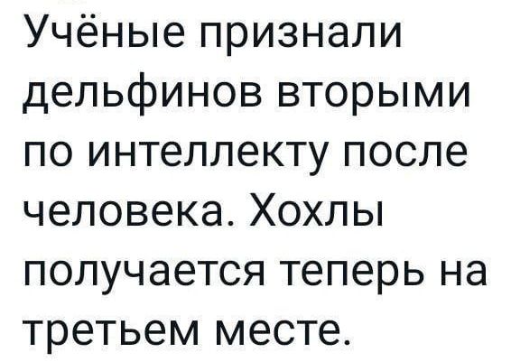 Учёные признали дельфинов вторыми по интеллекту после человека. Хохлы получается теперь на третьем месте.