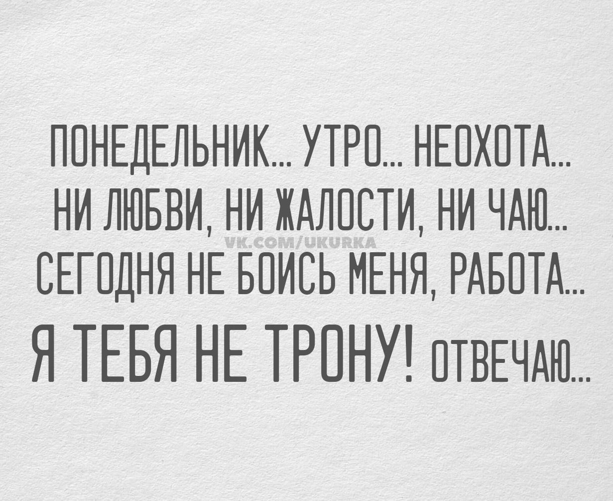 ПОНЕДЕЛЬНИК... УТРО... НЕОХОТА... НИ ЛЮБВИ, НИ ЖАЛОСТИ, НИ ЧАЮ... СЕГОДНЯ НЕ БОЙСЬ МЕНЯ, РАБОТА... Я ТЕБЯ НЕ ТРОНУ! ОТВЕЧАЮ...