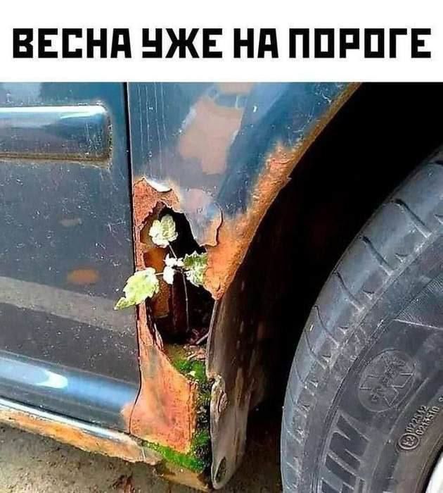 ВЕСНА УЖЕ НА ПОРОГЕ
