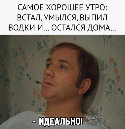 САМОЕ ХОРОШЕЕ УТРО: ВСТАЛ, УМЫЛСЯ, ВЫПИЛ ВОДКИ И... ОСТАЛСЯ ДОМА...
- ИДЕАЛЬНО!