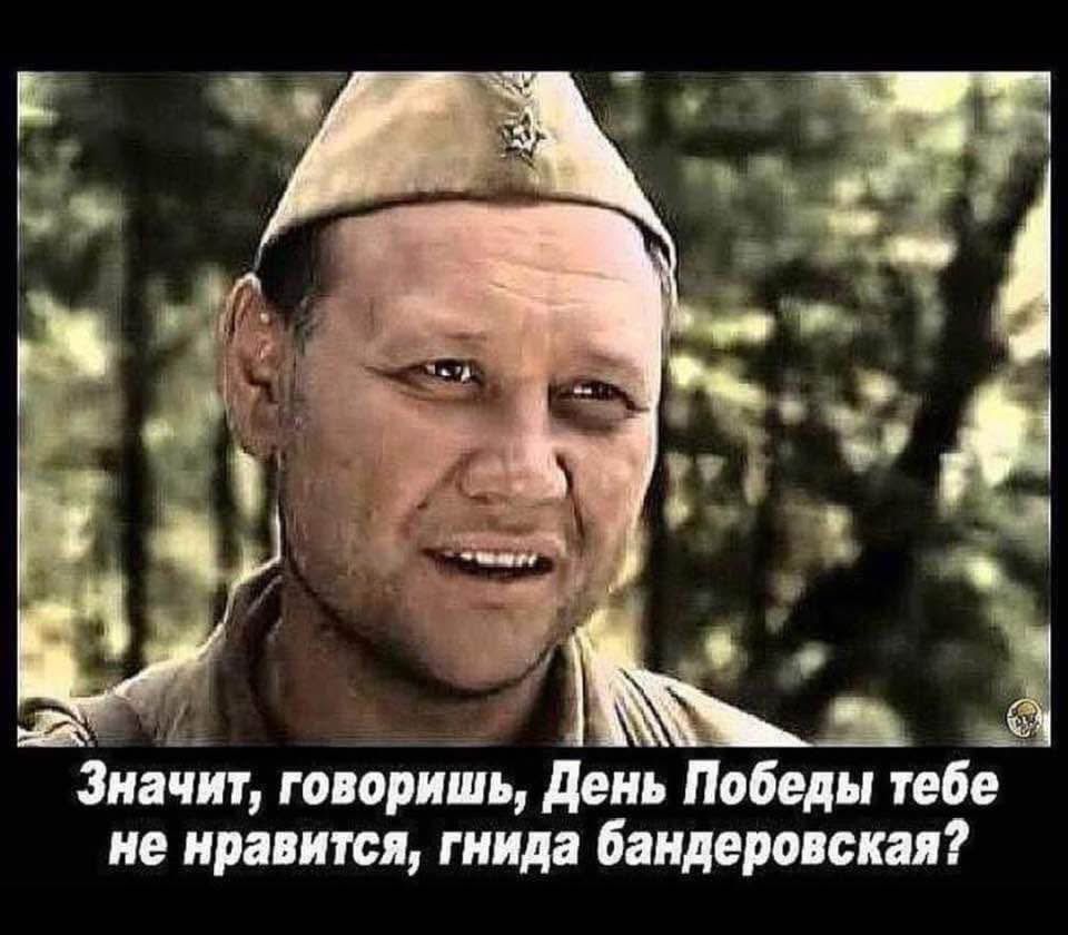 Значит, говоришь, День Победы тебе не нравится, гнида бандеровская?