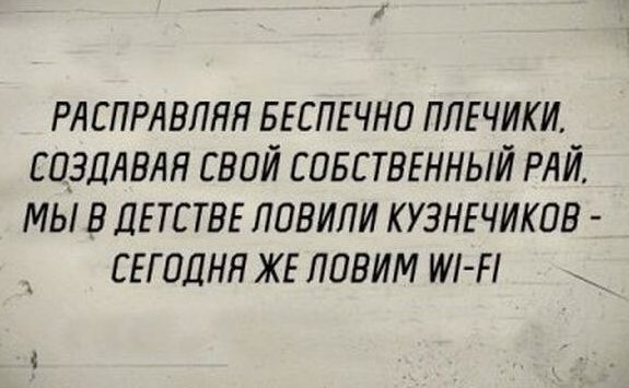 РАСПРАВЛЯЯ БЕСПЕЧНО ПЛЕЧИКИ, СОЗДАВАЯ СВОЙ СОБСТВЕННЫЙ РАЙ. МЫ В ДЕТСТВЕ ЛОВИЛИ КУЗНЕЧИКОВ - СЕГОДНЯ ЖЕ ЛОВИМ WI-FI.