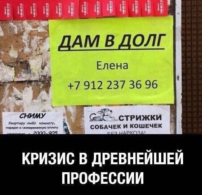 ДАМ В ДОЛГ
Елена
+7 912 237 36 96
КРИЗИС В ДРЕВНЕЙШЕЙ ПРОФЕССИИ