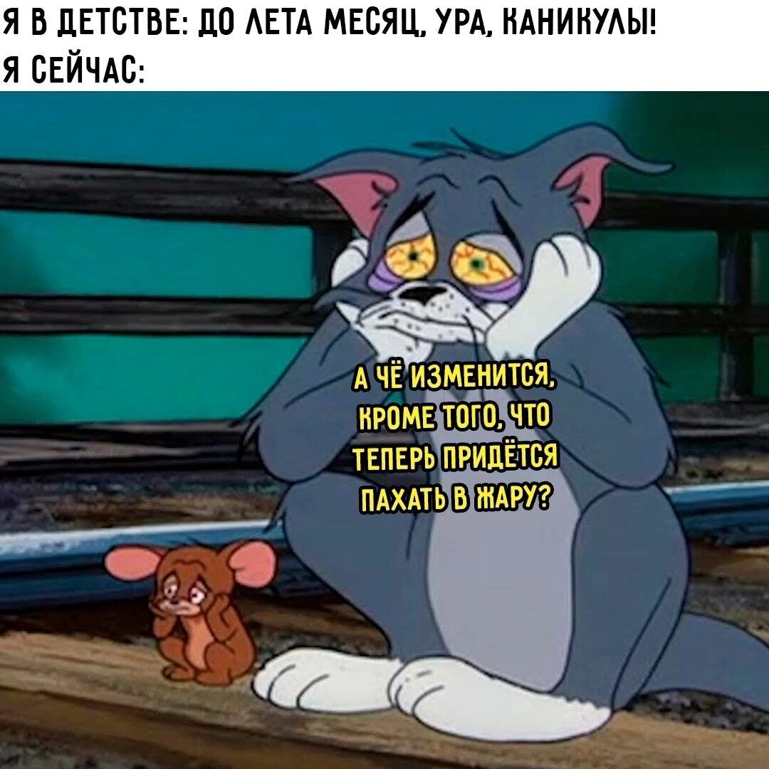 Я В ДЕТСТВЕ: ДО ЛЕТА МЕСЯЦ!, УРА, КАНИКУЛЫ! Я СЕЙЧАС: А ЧЕ ИЗМЕНИТСЯ, КРОМЕ ТОГО, ЧТО ТЕПЕРЬ ПРИДЕТСЯ ПАХАТЬ В ЖАРУ?
