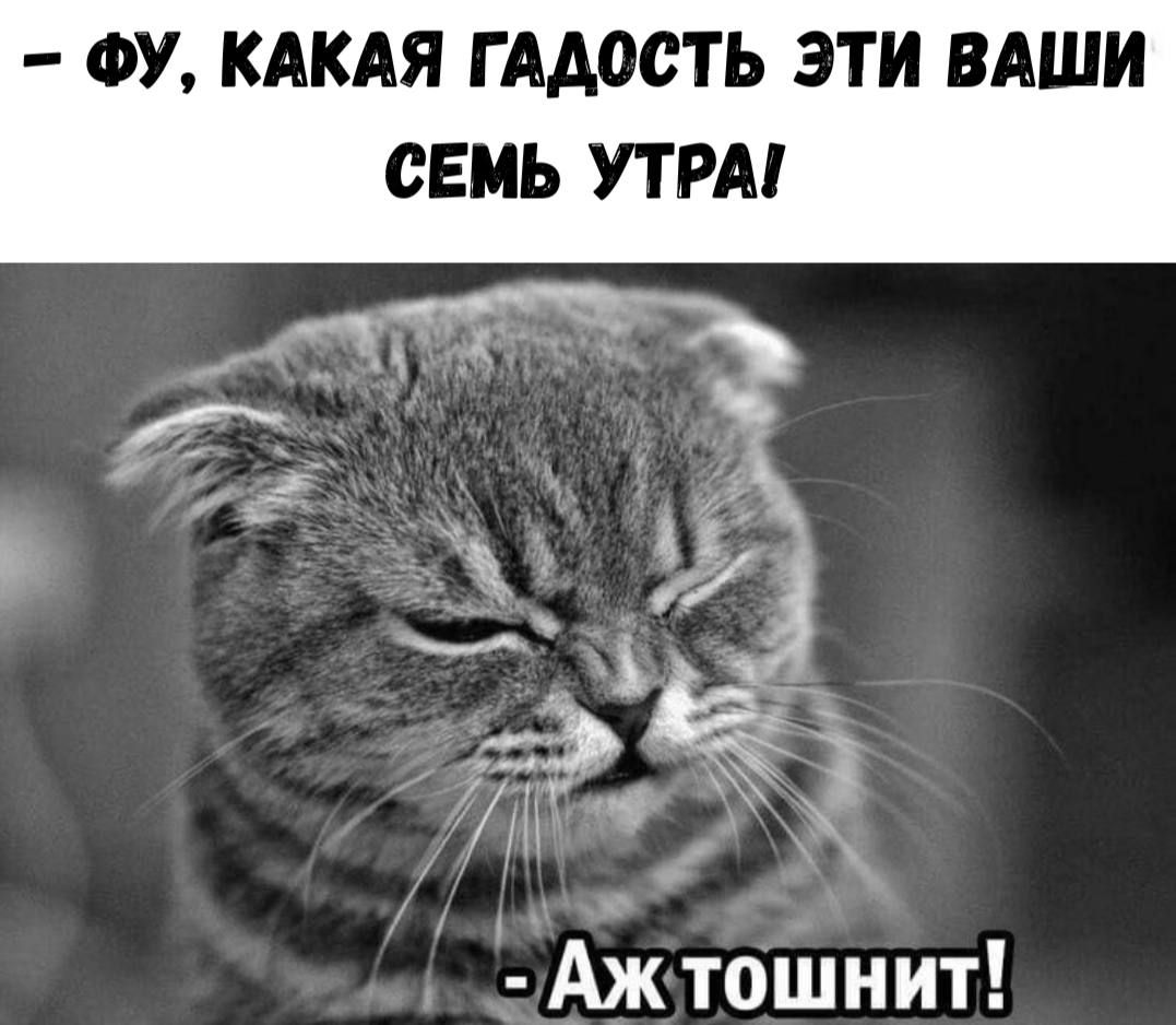 – ФУ, КАКАЯ ГАДОСТЬ ЭТИ ВАШИ СЕМЬ УТРА!
– Аж тошнит!