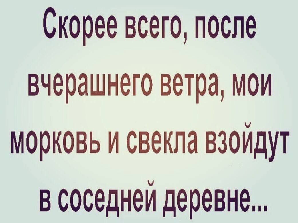Скорее всего, после вчерашнего ветра, мои морковь и свекла взойдут в соседней деревне...