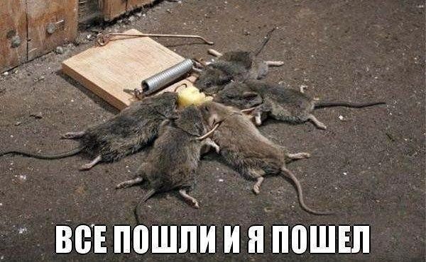 ВСЕ ПОШЛИ И Я ПОШЕЛ