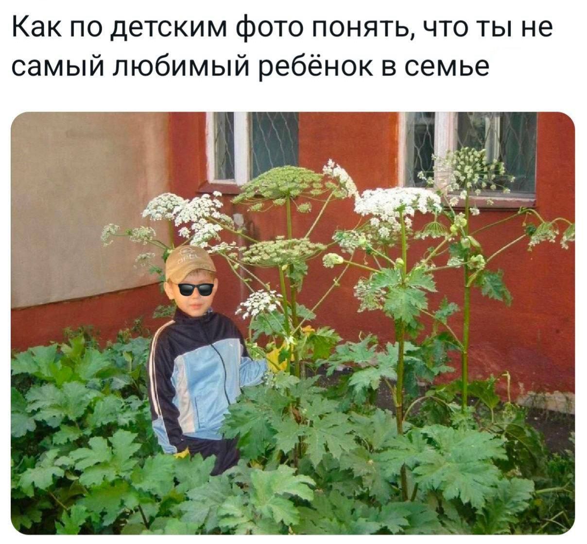 Как по детским фото понять, что ты не самый любимый ребенок в семье