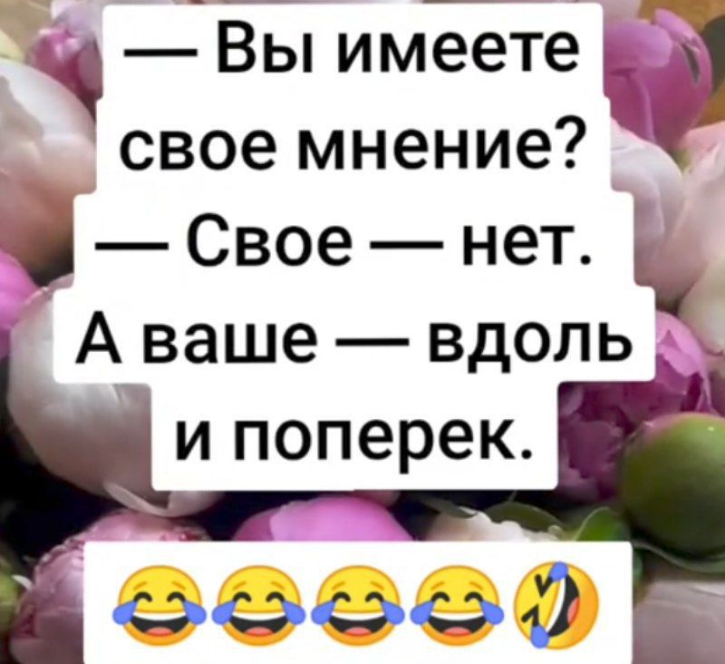 — Вы имеете свое мнение? — Свое — нет. А ваше — вдоль и поперек.