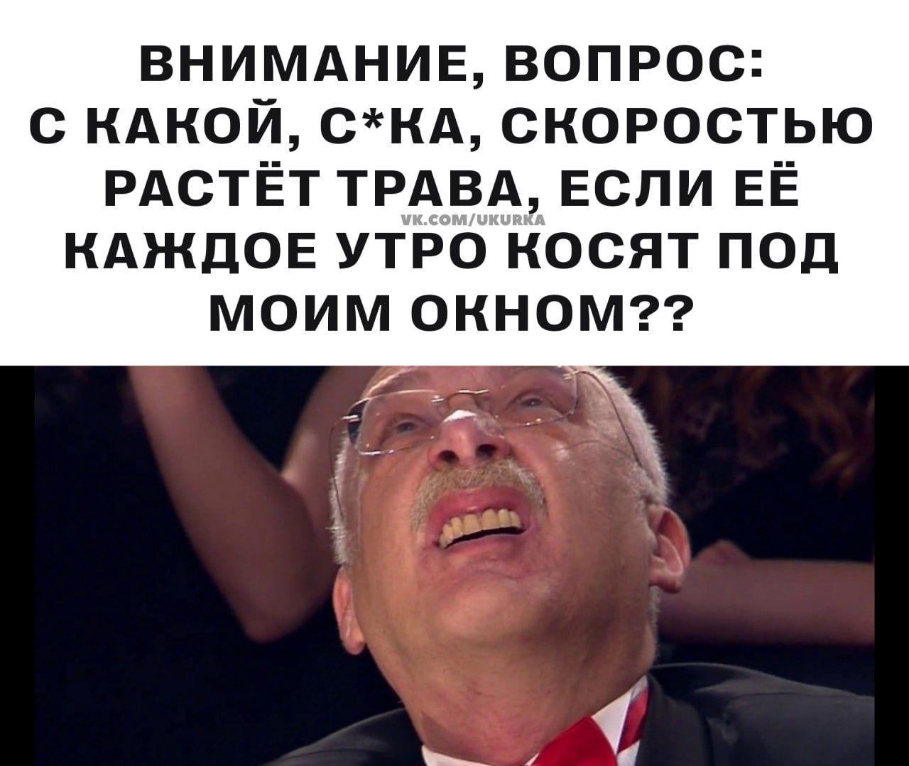 ВНИМАНИЕ, ВОПРОС: С КАКОЙ, С*КА, СКОРОСТЬЮ РАСТЁТ ТРАВА, ЕСЛИ ЕЁ КАЖДОЕ УТРО КОСЯТ ПОД МОИМ ОКНОМ??