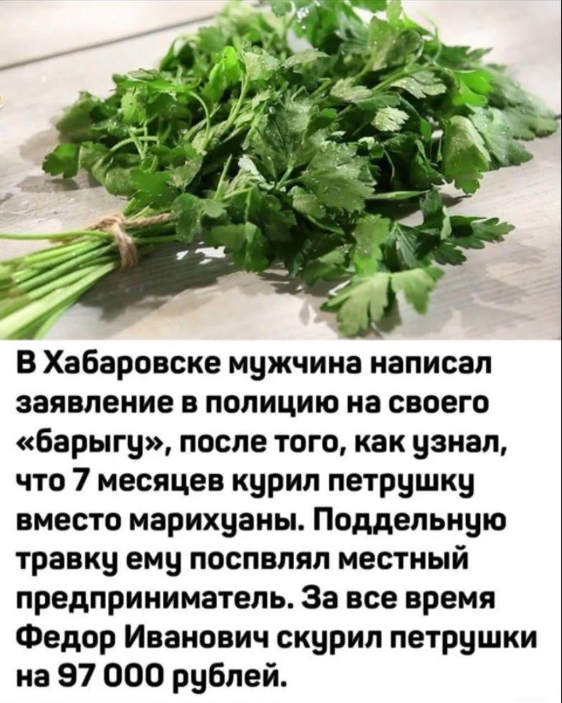 В Хабаровске мужчина написал заявление в полицию на своего «баригу», после того, как узнал, что 7 месяцев курил петрушку вместо марихуаны. Поддельную травку ему поспевал местный предприниматель. За все время Федор Иванович скурил петрушки на 97 000 рублей.