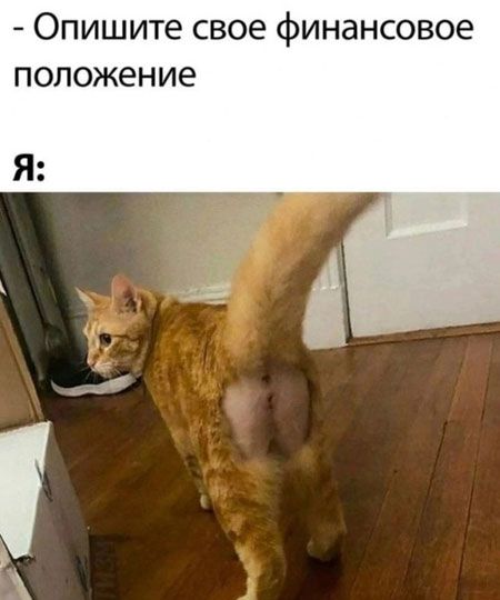 - Опишите свое финансовое положение
Я: