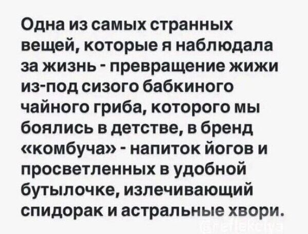 Одна из самых странных вещей, которые я наблюдала за жизнь - превращение живки из-под сизого бабкинного чайного гриба, которого мы боялись в детстве, в бренд «комбуча» - напиток йогов и просветленных в удобной бутылочке, излечивающий спидорак и астральные хвори.