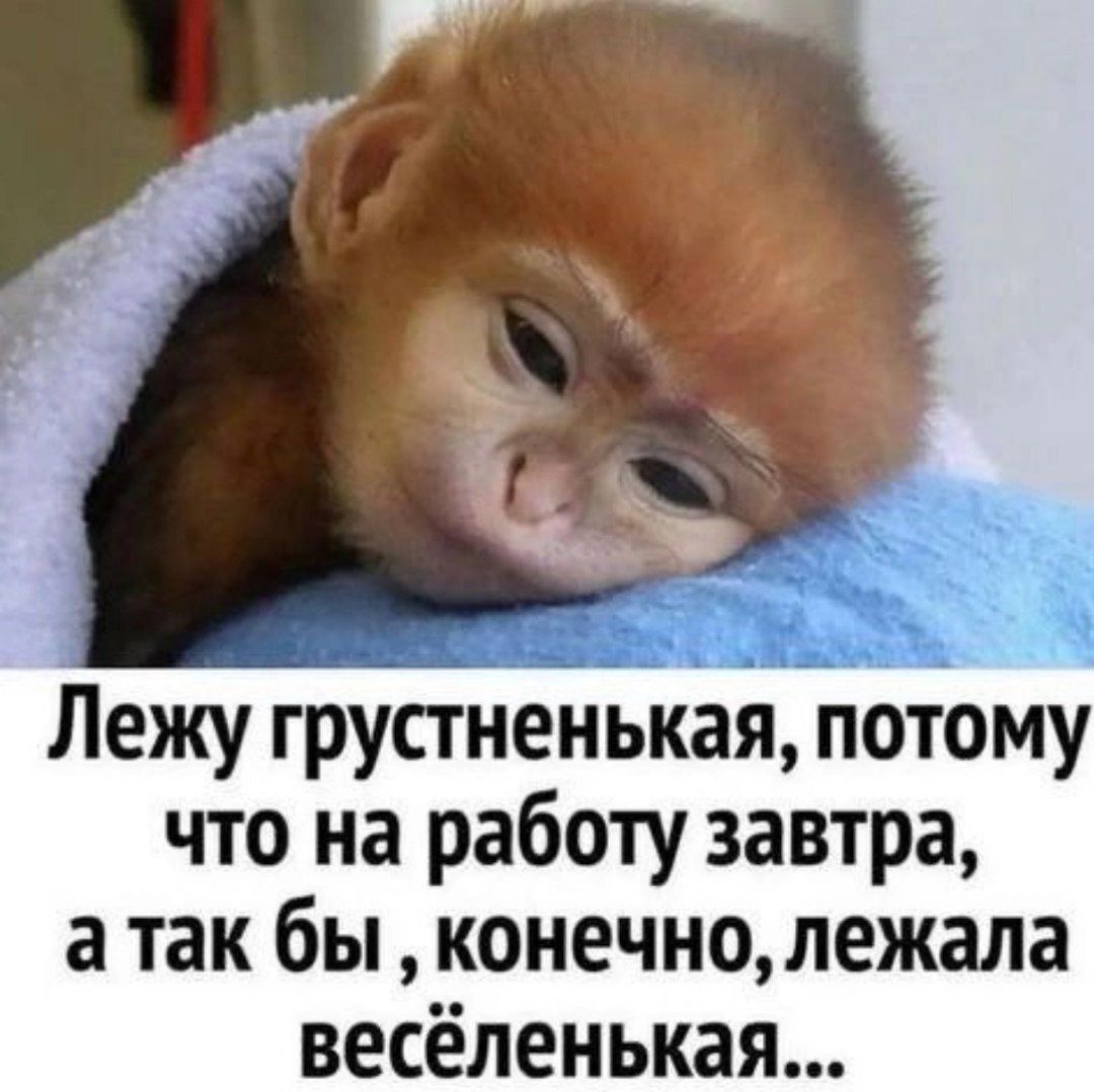 Лежу грустненькая, потому что на работу завтра, а так бы, конечно, лежала весёленькая...