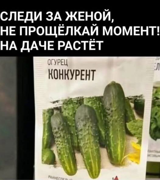 СЛЕДИ ЗА ЖЕНОЙ, НЕ ПРОЩЁЛКАЙ МОМЕНТ! НА ДАЧЕ РАСТЁТ ОГУРЕЦ КОНКУРЕНТ