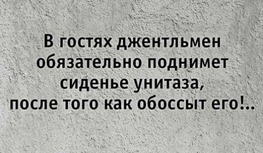 В гостях джентльмен обязательно поднимет сиденье унитаза, после того как обоссит его!...