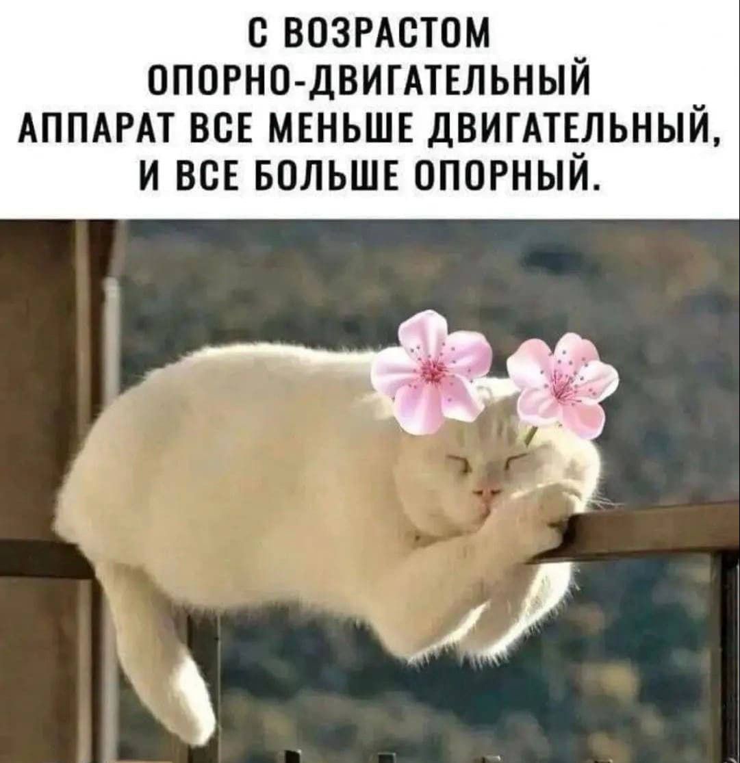 С возрастом опорно-двигательный аппарат все меньше двигательный, и все больше опорный.