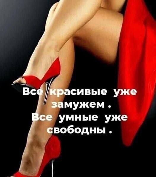 Все красивые уже замужем. Все умные уже свободны.