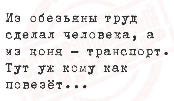 Из обезьяны труд сделал человека, а из коня – транспорт. Тут уж кому как повезёт...