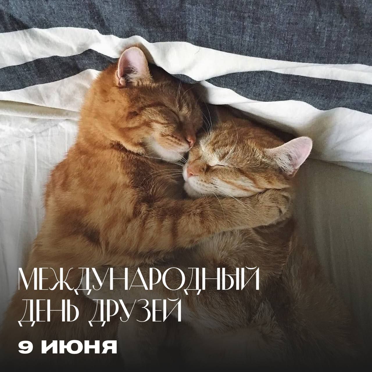 Международный день друзей 9 июня