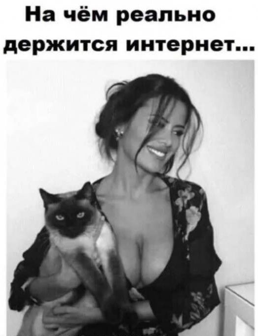 На чём реально держится интернет...