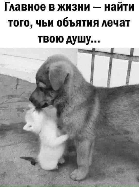 Главное в жизни — найти того, чьи объятия лечат твою душу...