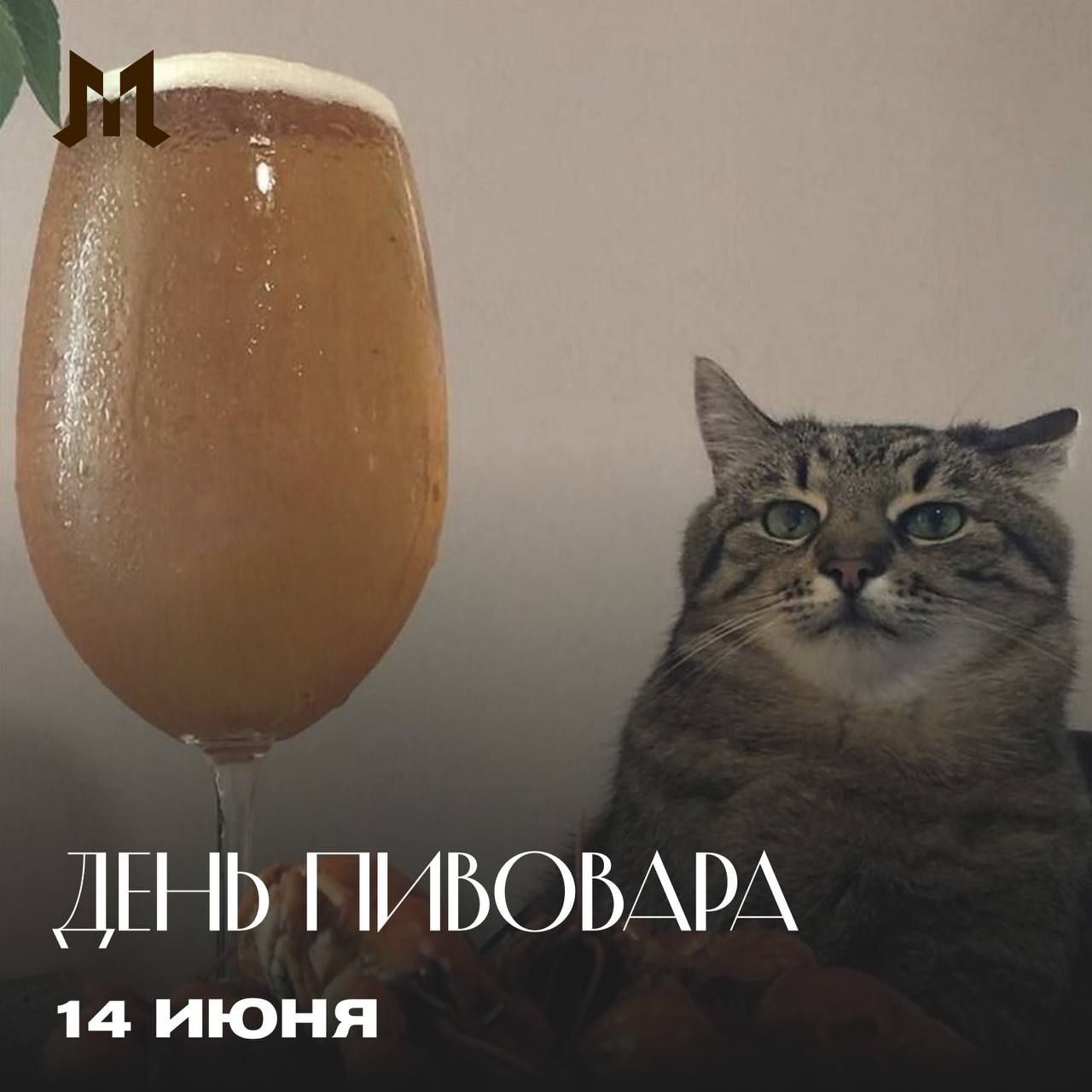ДЕНЬ ПИВОБАРА
14 ИЮНЯ