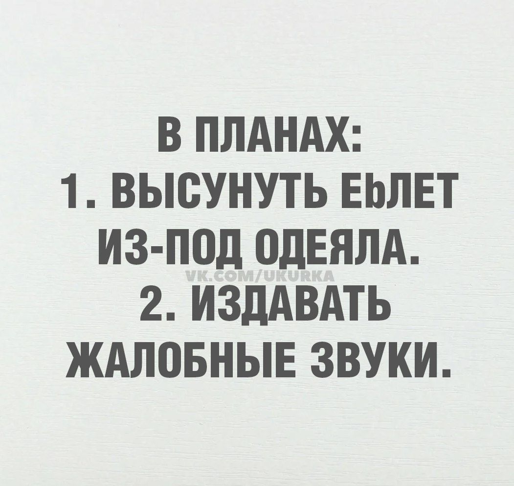 В ПЛАНах:
1. ВЫСУНУТЬ ЕЁЛЕТ ИЗ-ПОД ОДЕЯЛА.
2. ИЗДАВАТЬ ЖАЛОБНЫЕ ЗВУКИ.