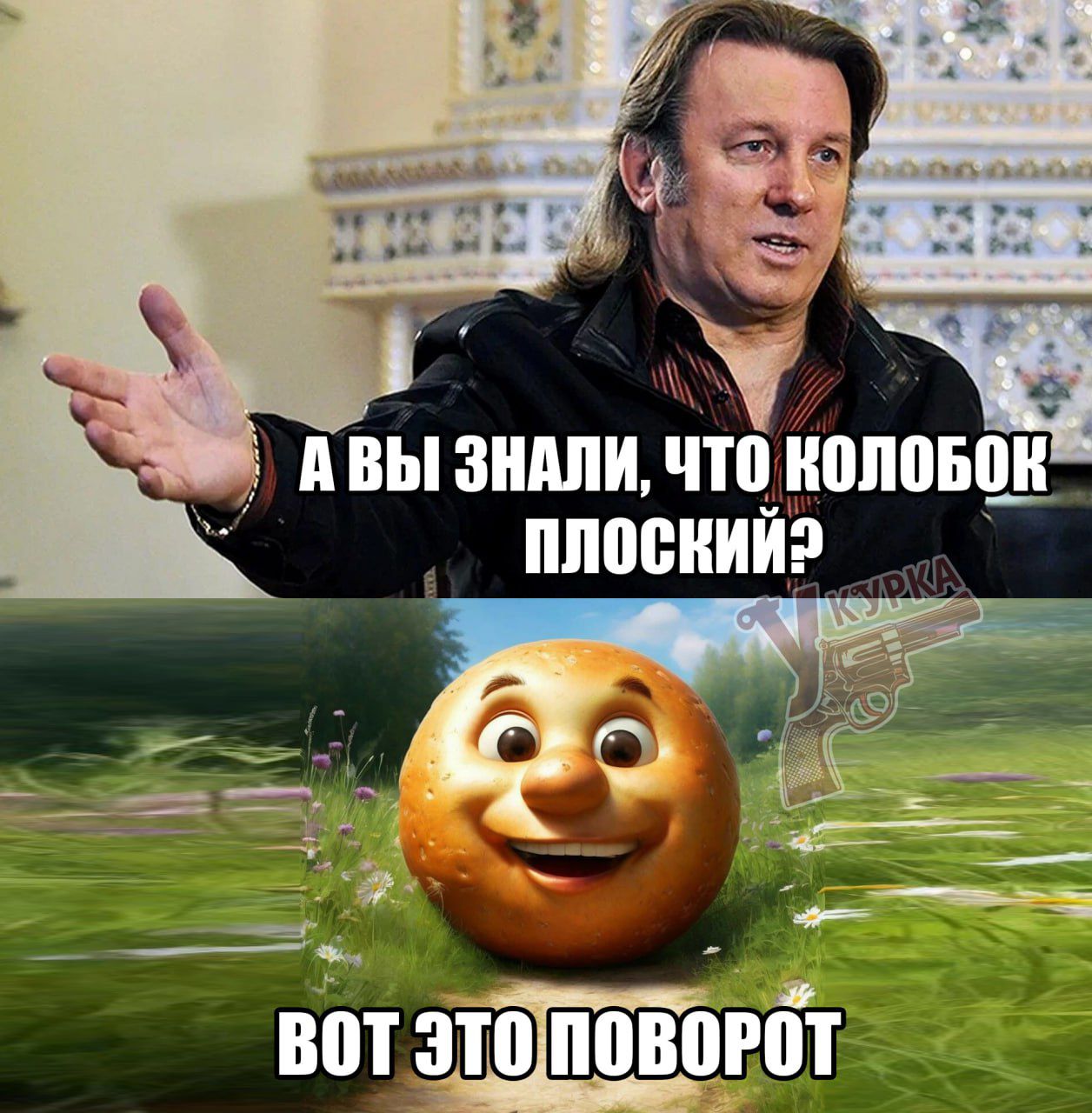 А ВЫ ЗНАЛИ, ЧТО КОЛОБОК ПЛОСКИЙ? ВОТ ЭТО ПОВОРОТ