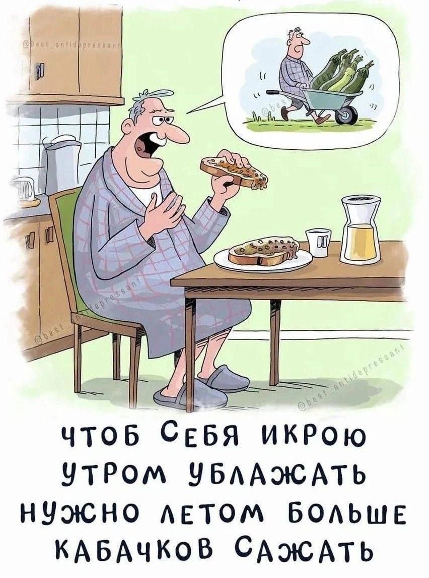 ЧТОБ СЕБЯ ИКРОЮ УТРОМ УБЛАЖАТЬ НУЖНО ЛЕТОМ БОЛЬШЕ КАБАЧКОВ САЖАТЬ
