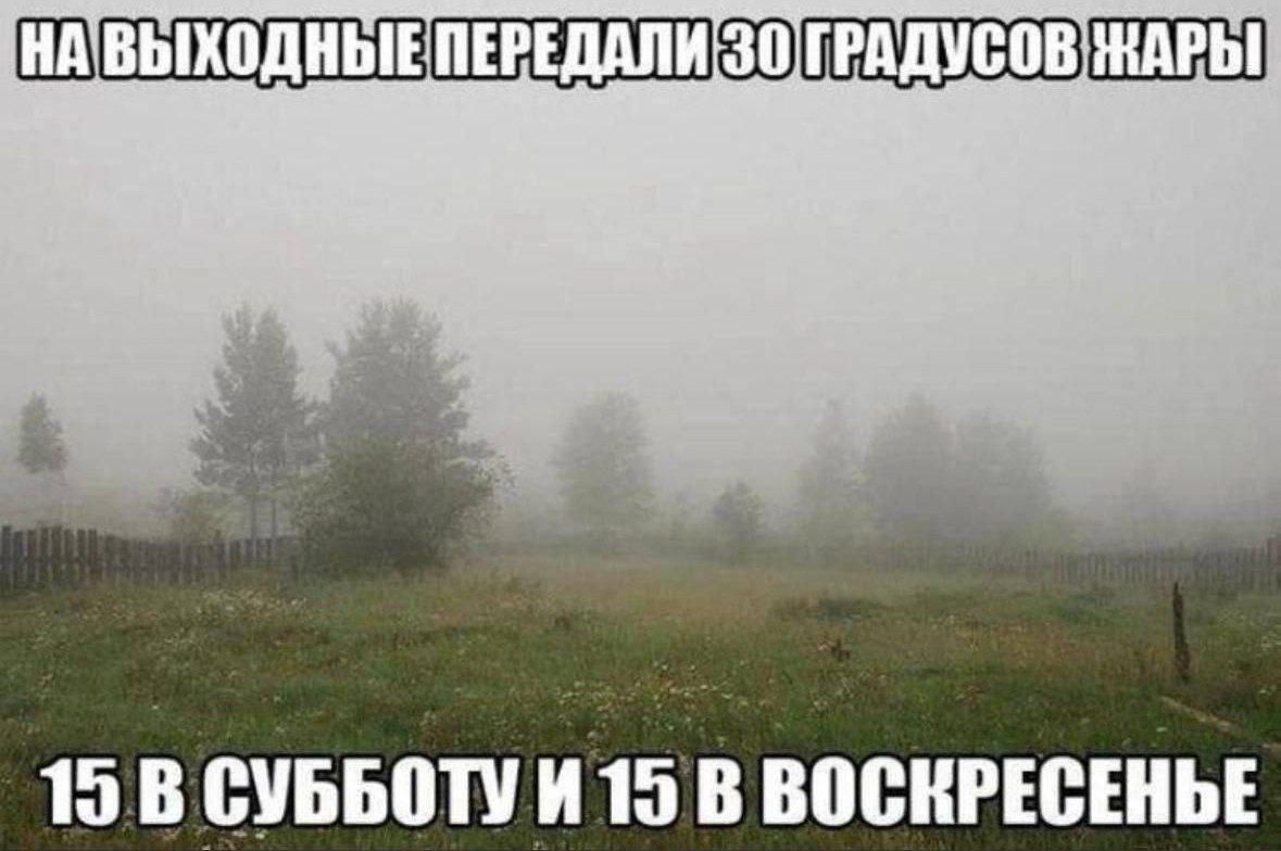 НА УИКЕНДЕ ПЕРЕДАЛИ ЗО ГРАДУСОВ ЖАРЫ 15 В СУББОТУ И 15 В ВОСКРЕСЕНЬЕ