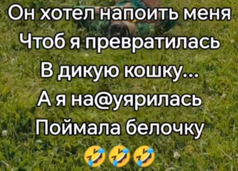 Он хотел напоить меня
Чтобы я превратилась
В дикую кошку...
А я на@уярилась
Поймала белочку