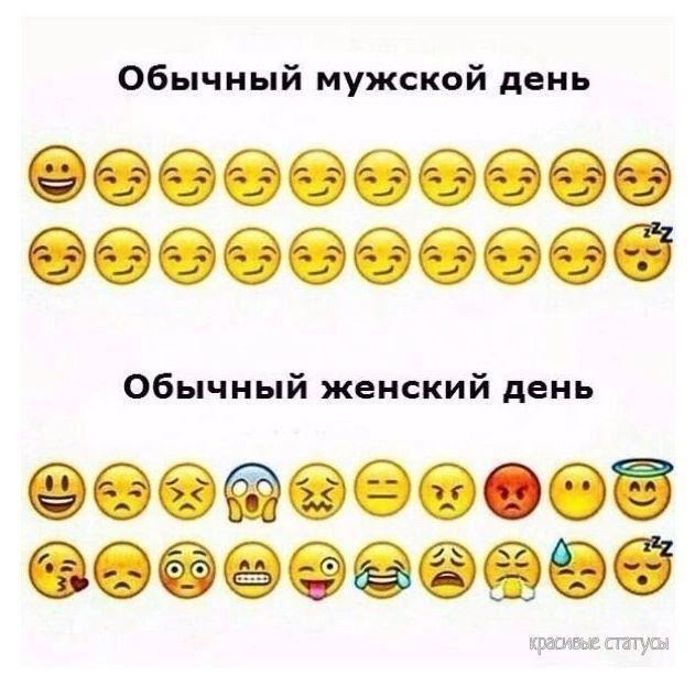 Обычный мужской день
Обычный женский день