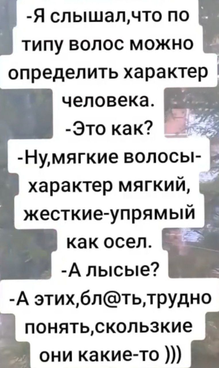 Я слышал, что по типу волос можно определить характер человека. - Это как? - Ну, мягкие волосы — характер мягкий, жесткие — упорный как осел. - А лысые? - А этих, бля, трудно понять, сколько они какие-то )))