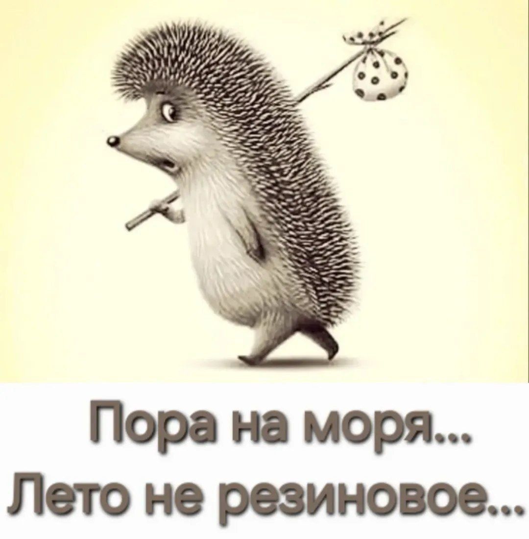 Пора на моря... Лето не резиновое...