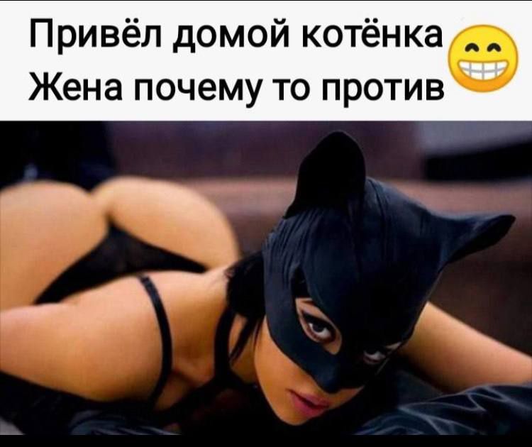 Привёл домой котёнка 😃 Жена почему то против 😊