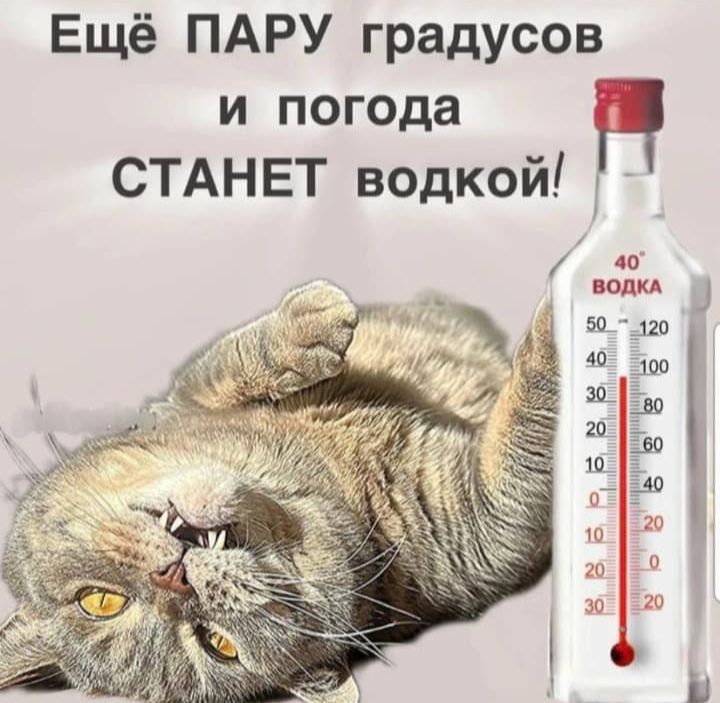 Ещё ПАРУ градусов и погода СТАНЕТ водкой!